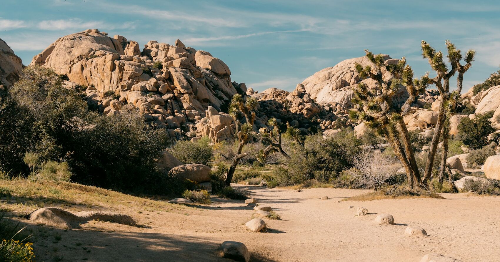 WIN A Photographer of the month!